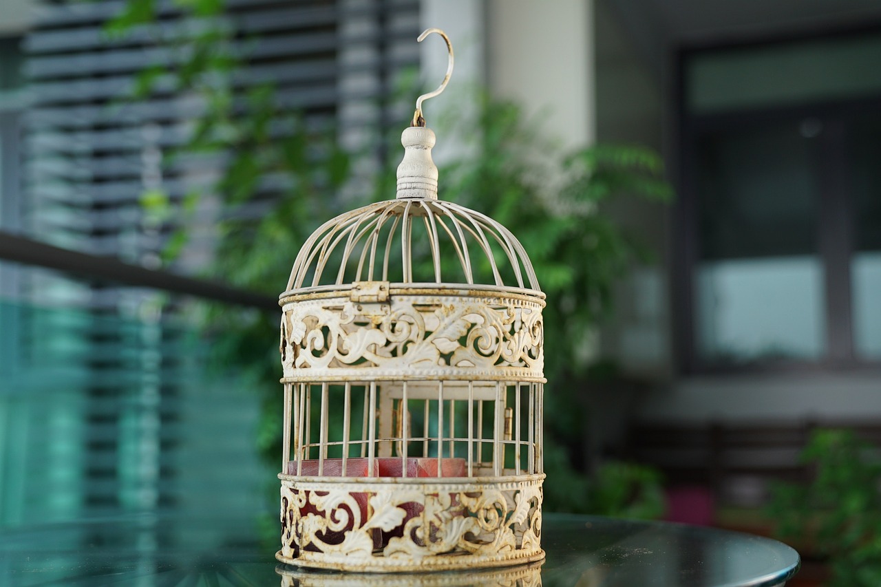 bird-cage-2767374_1280